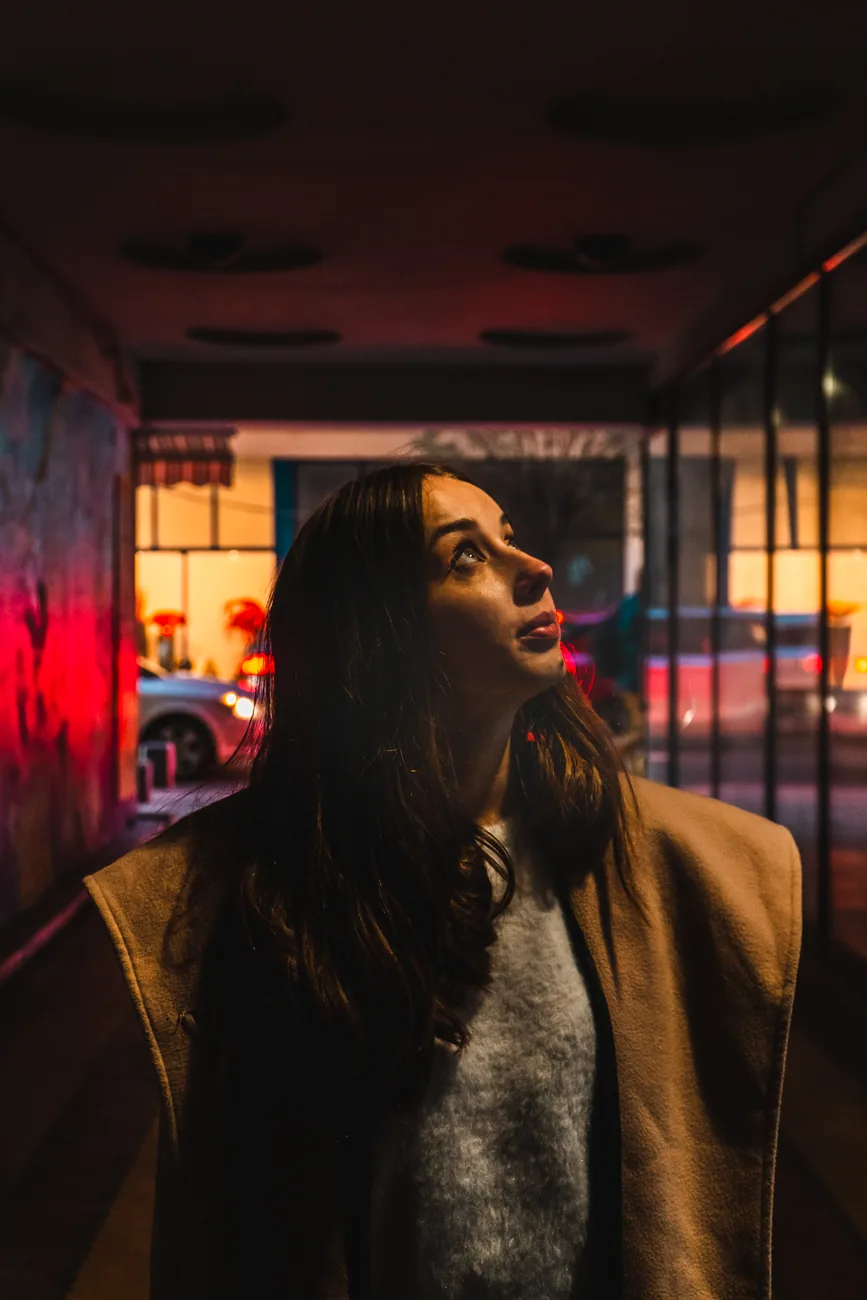 Portret nocturn